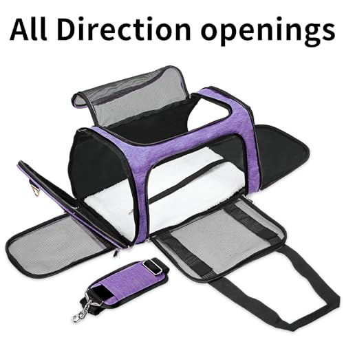 Soft Sided Cat (Purple / 20"L x 13"W x 13"H)