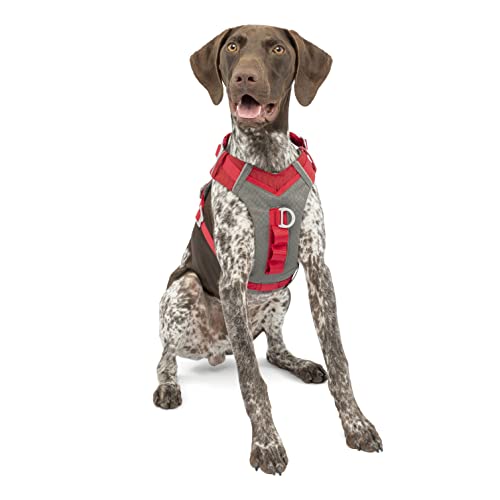 Journey Air Dog Harness (Medium / Red)