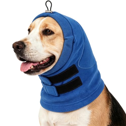 Dog Ear Muffs Noise Protection (Cobalt Blue / Large)
