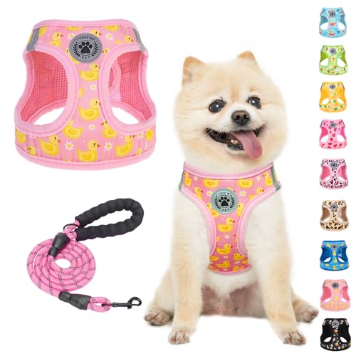 Small Dog Harness and Leash Set (Small(Chest Girth 14.5" - 16") / Pink Ducks)