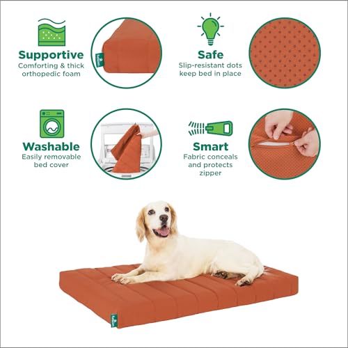 Orthopedic Dog Bed (X-Large / Rust)