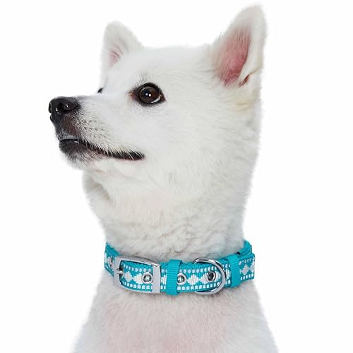 Reflective Jacquard Dog Collar with Neoprene Padding & Metal Buckle (Small / Metal Buckle-Peacock)