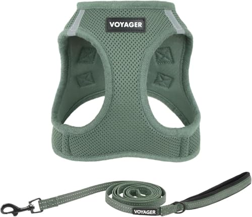Voyager Step in Air All Weather Mesh Harness and Reflective Dog 5ft Leash Combo with Neoprene Handle (Moss Green / L (Chest: 18 - 20.5"))