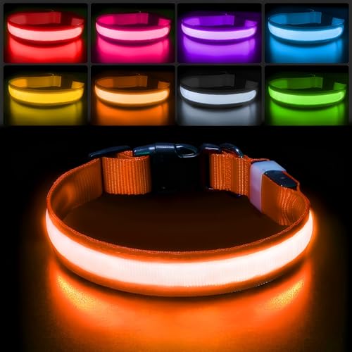 Light up Dog Collar (Orange / M(15 inch-19.7 inch))