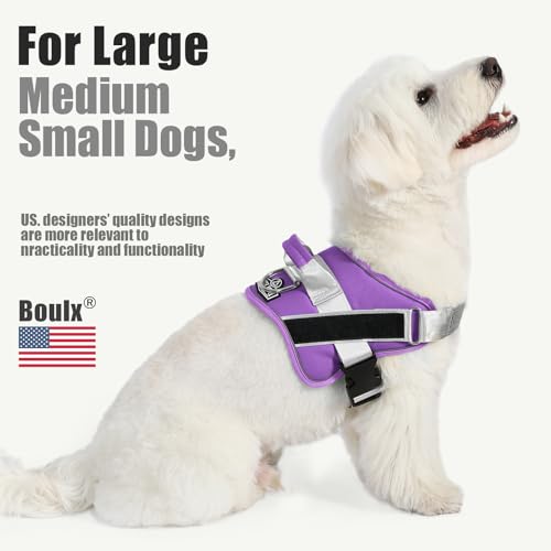 Dog Harness No (X-Small (Pack of 1) / Lavender)