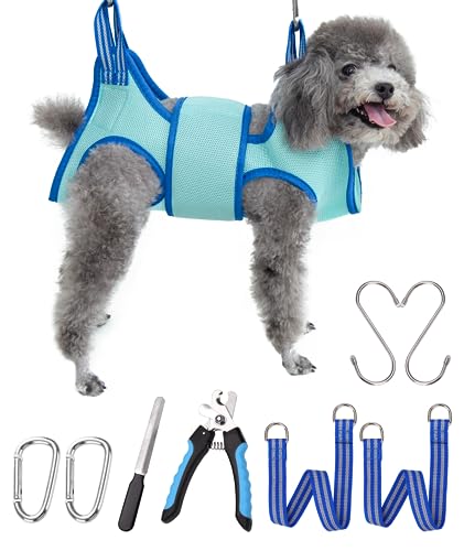 Dog Grooming Hammock (X-Small 11 LB Max/Turquoise)