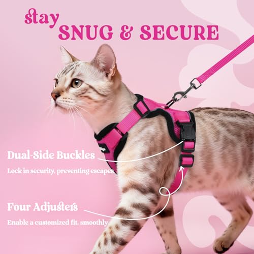 Cat Harness and Leash Set (Xs / Rose Red)
