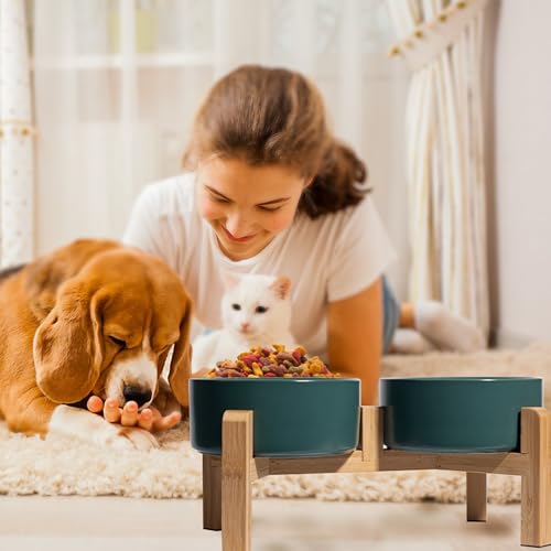 Elevated Ceramic Dog Bowl (Green / Medium)