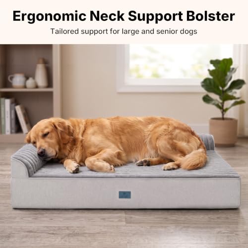 Orthopedic Dog Bed for Senior Dog (Gray / 48"L x 30"W x 7"Th)