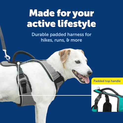 EasySport Dog Harness (Small / Charcoal)
