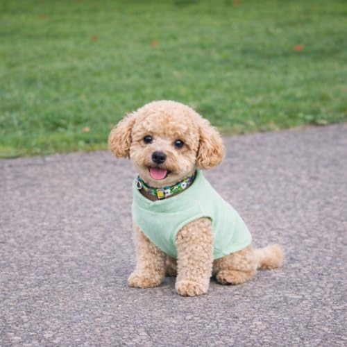 Dog Fleece Sweater with Leash Ring (XXL (25-35lbs) / Mint Green)