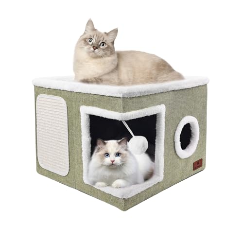 Cat Beds for Indoor Cats (Green / Single)