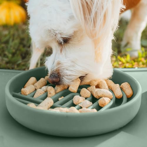 Slow Feeder Dog Bowl (Spruce / Small (6” Across x 1.25” Tall))