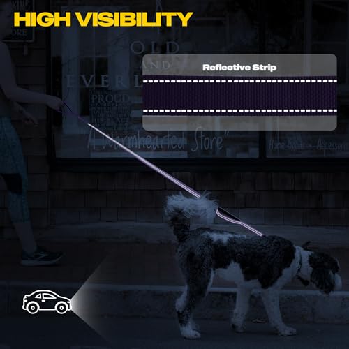 Heavy Duty Dog Leash for Medium Large Dogs (6 Feet (Pack of 1) / Purple)