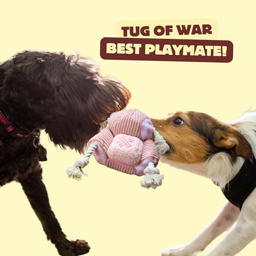 Squeaky Dog Toys (Sofa Rope)