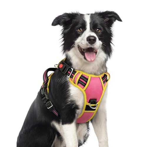 Dog Harness Medium Sized (Pink & Yellow / Medium)