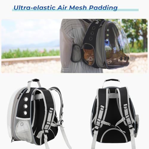 Cat Carrier Backpack (Front Expandable-Black)