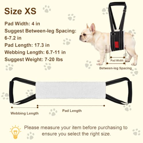 Dog Lift Harness (XS)