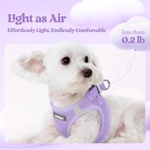 Dog Harness Small Sized and Leash Set (Light Purple / Xxxs (chest: 10.8 - 11.8"))