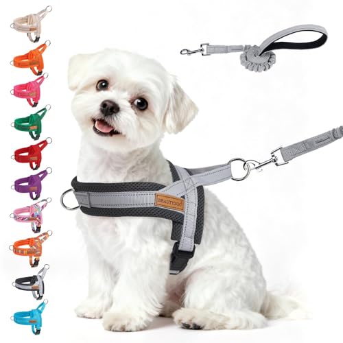Small Dog Harness and Leash Set (Grey / S: Chest 17.5"-22")