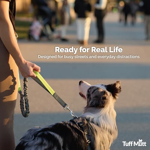 Waist Hands Free Dog Leash for Walking Running Hiking (Purple)