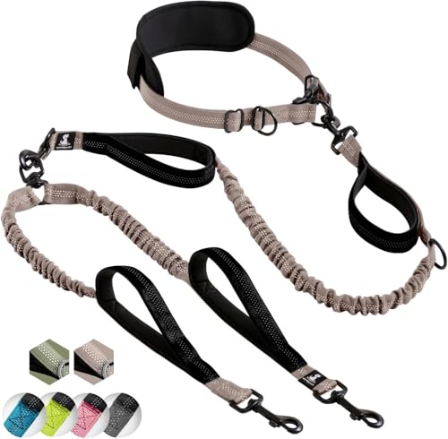 Hands Free Dual Dog Leash (Brown / 2 dogs M/L)