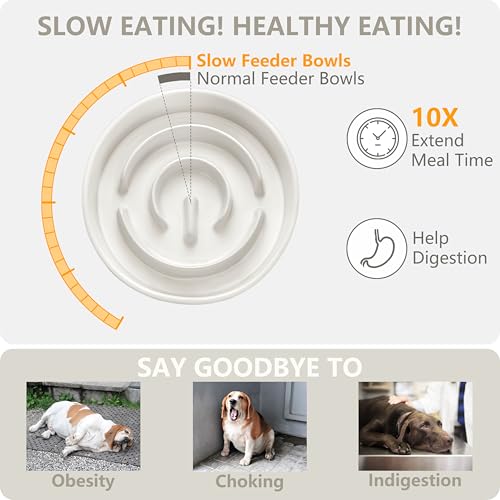 Ceramic Slow Feeder and Water Bowl Set for Small Dogs (White / 6" D)