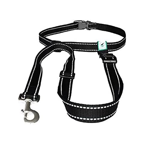 Hands Free Dog Leash - PetSolution