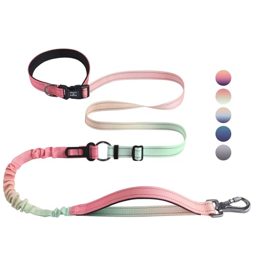 Hands Free Dog Leash for Medium Large Dogs Heavy Duty (Pink)