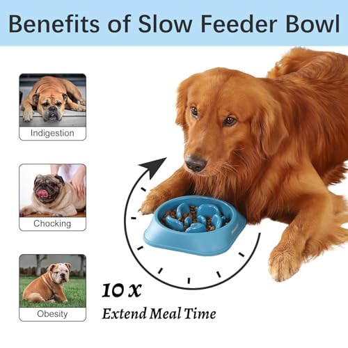 2 Pack Slow Feeder Dog Bowls (A-LightBlue&DarkBlue / Medium)