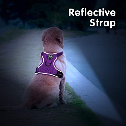 Mesh Dog Harness (XL / Purple)