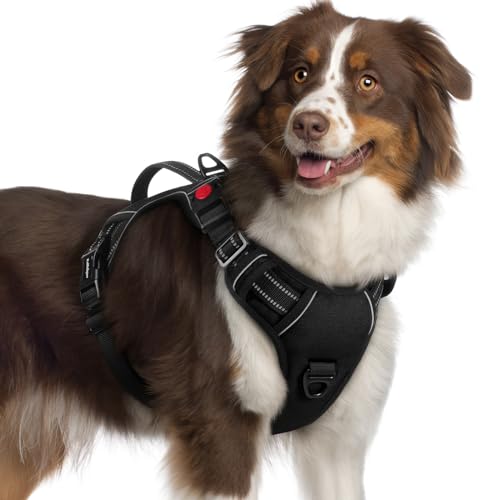 Large Dog Harness (X-Large / Black)