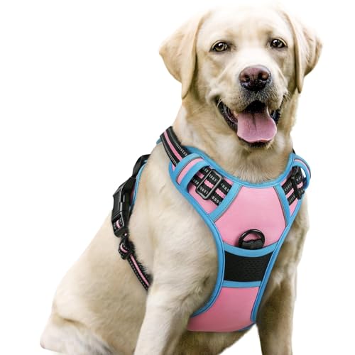 Dog Harness No Pull for Large Dogs with 2 Leash Clips (Large / Pink & Blue)