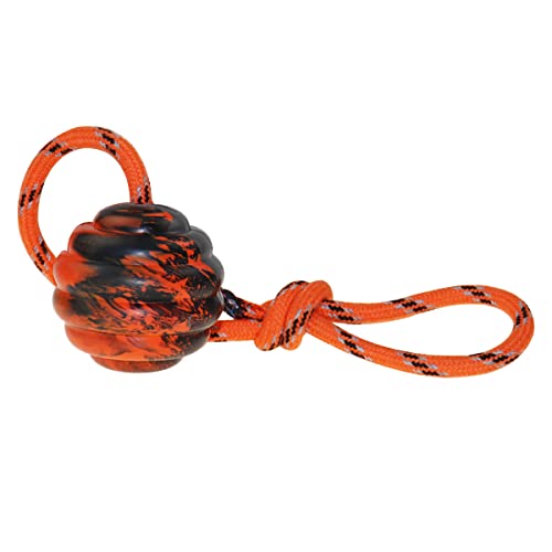 Dog Training Ball on Rope (1pc)
