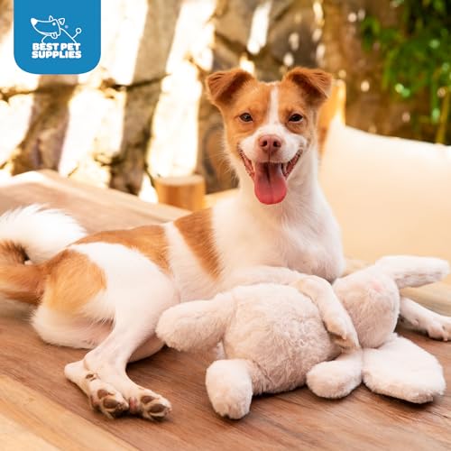 Bunny Buddy Squeaky Plush Dog Toy (Bunny (Beige) / Large)