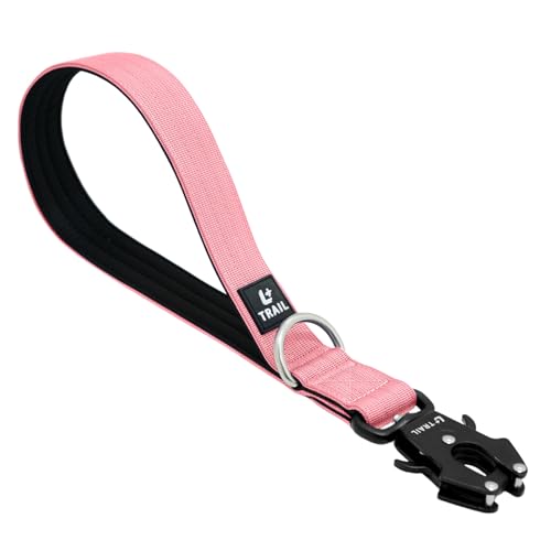 14 Inch Traffic Dog Leash with Padded Handle (Pink)