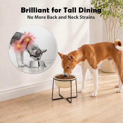 Ceramic Elevated Dog Food Bowl (Beige / XL)