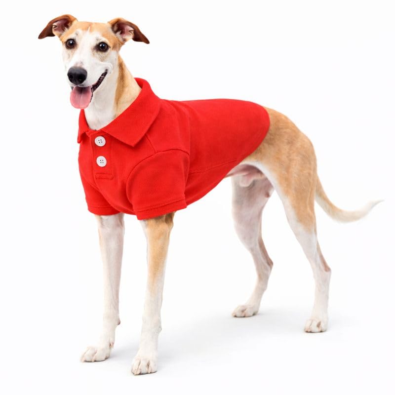Basic Dog Polo Shirts Premium Cotton (XXXL (-75lbs) / Red)