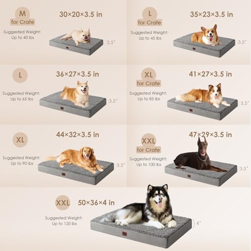 Orthopedic Dog Bed Extra Large with Removable Washable Cover (41*27*3.5 inches / Light Grey)