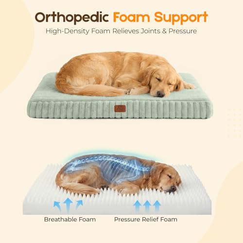 Orthopedic Dog Bed for XXL Dog (Green / 47"x29"x4")