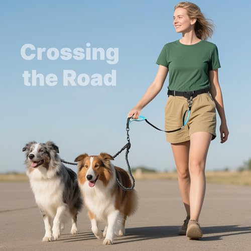 Hands Free Double Dog Leash Tangle Free (for Two Dogs / Black/Blue)