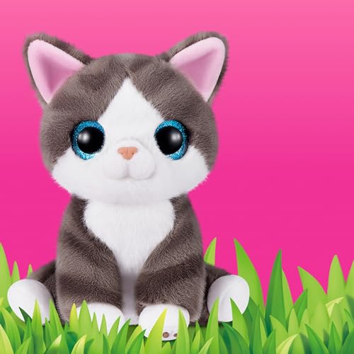 Smitten Kittens Series 2 (Dragon Li)