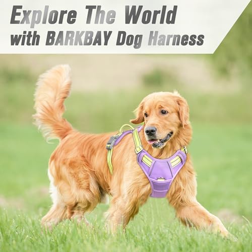 Dog Harness No Pull for Medium Sized Dog Front Back Clips (Medium(Chest:22.5-28") / Violet Purple & Sunlight)