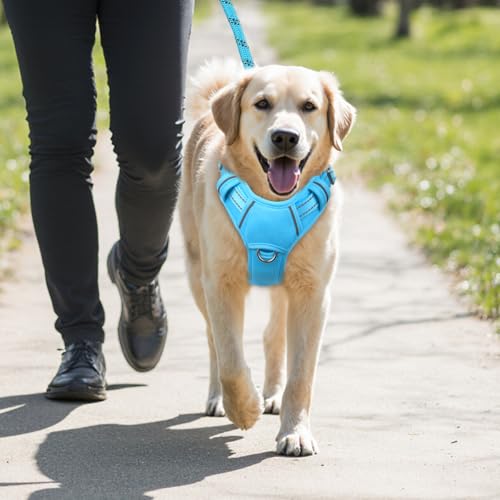 No Pull Dog Harness Large Reflective Dog Harness with Front Clip and Easy Control Handle for Walking Training Running with ID tag Pocket (Blue / Medium)