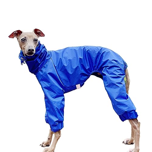 D Doggy Star Italian Greyhound Raincoat Waterproof Jacket Windbreaker Clothes Whippet for Dog (M / Raincoat Blue)