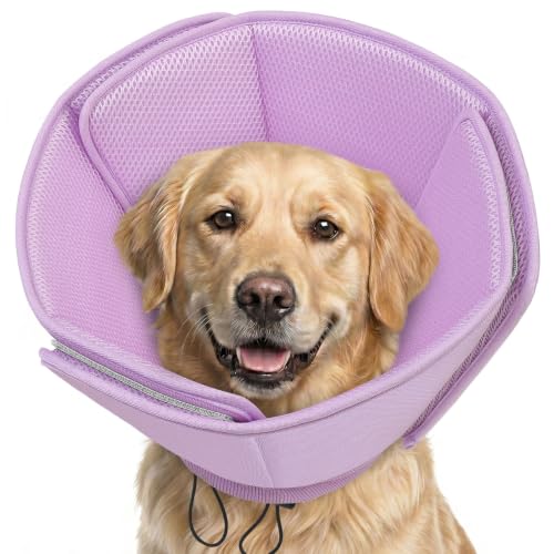 Soft Dog Cone (Purple / Large)