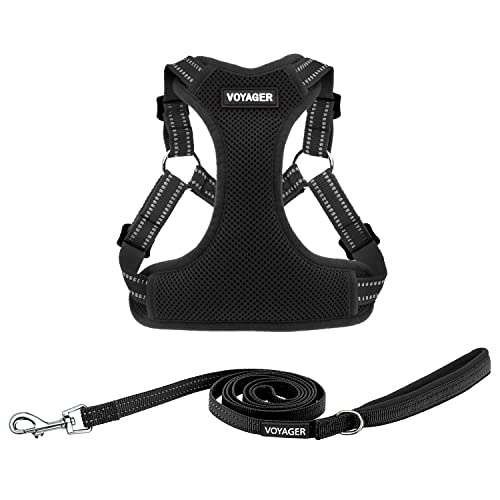 Voyager Adjustable Step (Harness Leash Set (Black) / XL)