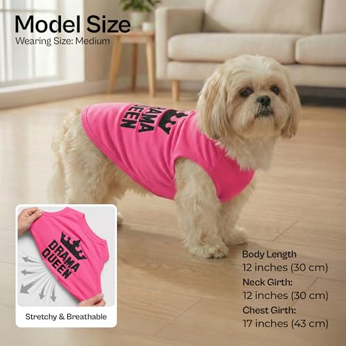 2 Pack Dog Shirts (Medium / Diva + Drama Queen)