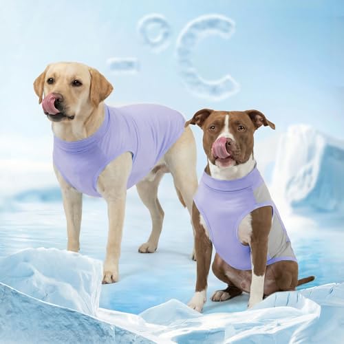 2Pack Dog Cooling Shirt with UPF 50+ UV Protection (XXX-Large (55-75lbs) / Purple)