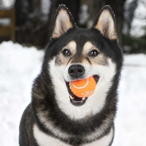Interactive Squeaky Dog Chew Toy (Tennis (Assorted Color) / Large (Pack of 4))